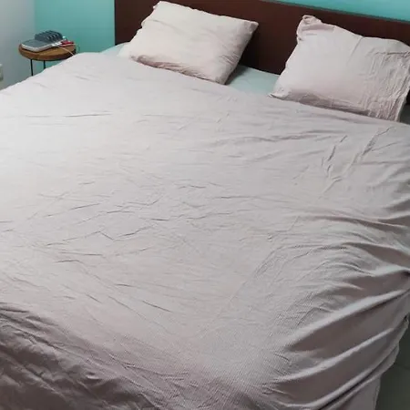 Loft Met 3 Slaapkamers En Gratis Parking *